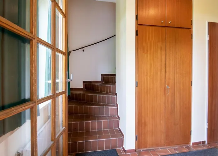 Alte Bergstrasse 6 Meerforelle *